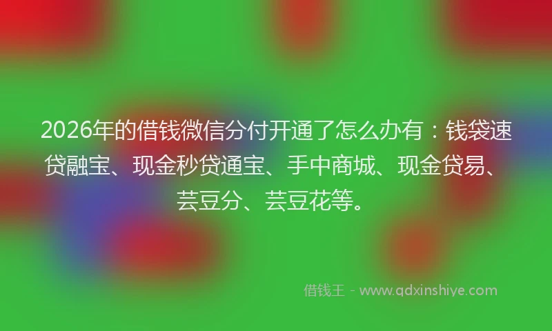 2026年的借钱微信分付开通了怎么办有：钱袋速贷融宝、现金秒贷通宝、手中商城、现金贷易、芸豆分、芸豆花等。
