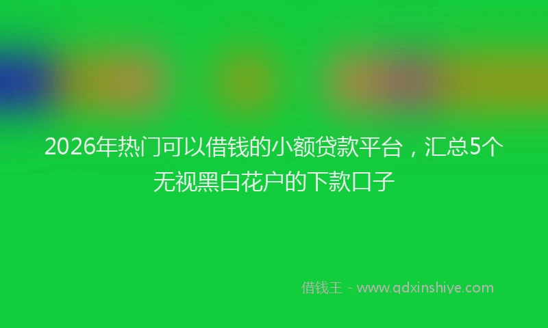 2026年热门可以借钱的小额贷款平台，汇总5个无视黑白花户的下款口子