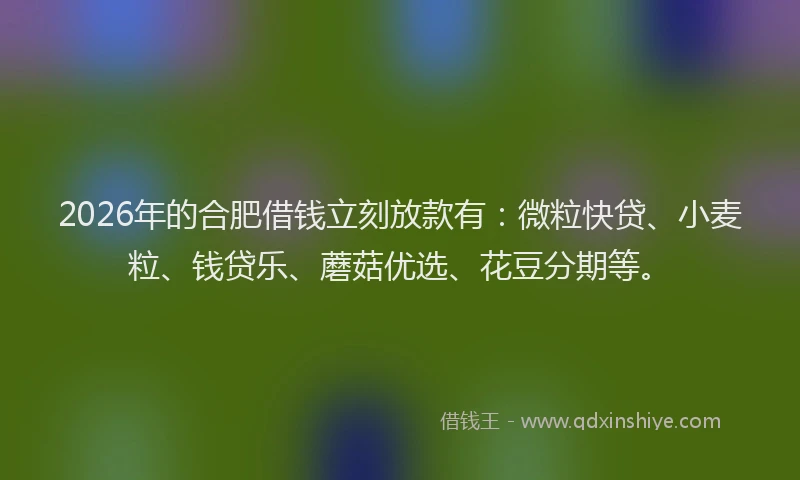 2026年的合肥借钱立刻放款有：微粒快贷、小麦粒、钱贷乐、蘑菇优选、花豆分期等。
