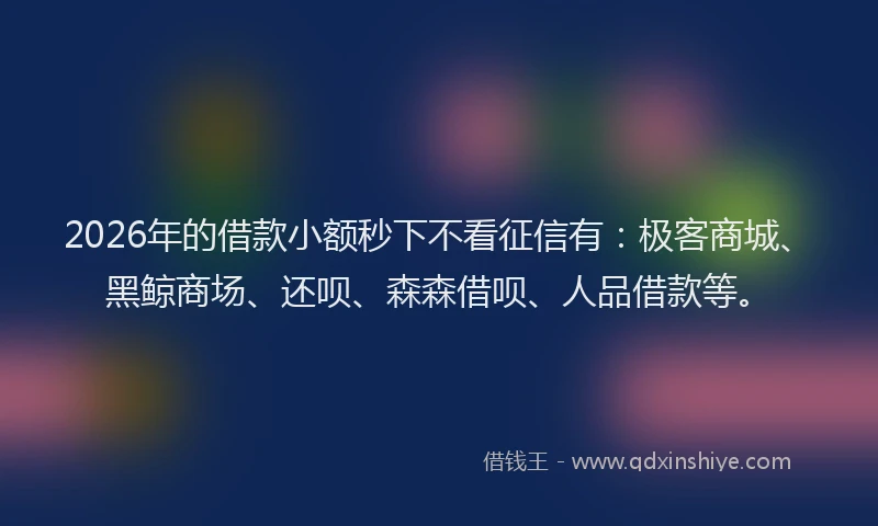 2026年的借款小额秒下不看征信有：极客商城、黑鲸商场、还呗、森森借呗、人品借款等。