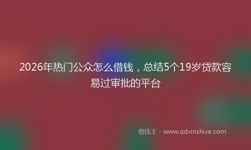 2026年热门公众怎么借钱，总结5个19岁贷款容易过审批的平台