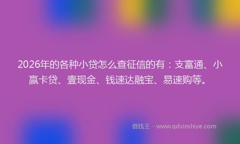 2026年的各种小贷怎么查征信的有：支富通、小赢卡贷、壹现金、钱速达融宝、易速购等。