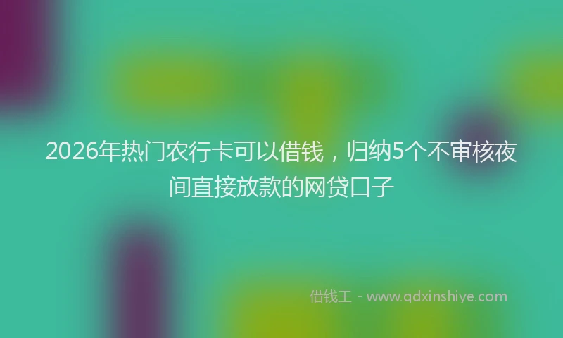 2026年热门农行卡可以借钱，归纳5个不审核夜间直接放款的网贷口子