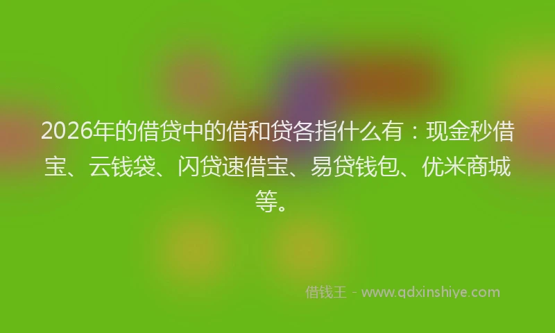 2026年的借贷中的借和贷各指什么有：现金秒借宝、云钱袋、闪贷速借宝、易贷钱包、优米商城等。