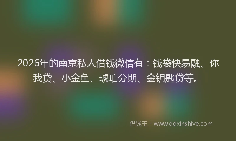 2026年的南京私人借钱微信有：钱袋快易融、你我贷、小金鱼、琥珀分期、金钥匙贷等。
