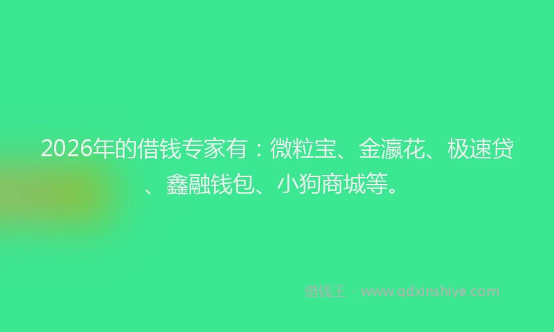 2026年的借钱专家有：微粒宝、金瀛花、极速贷、鑫融钱包、小狗商城等。