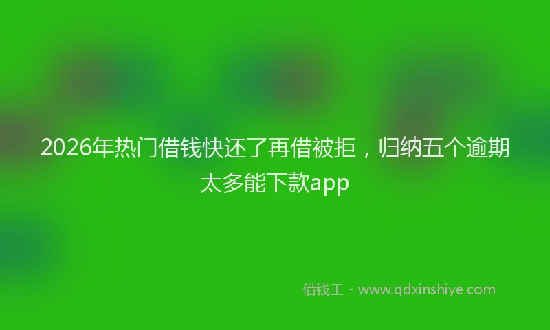 2026年热门借钱快还了再借被拒，归纳五个逾期太多能下款app