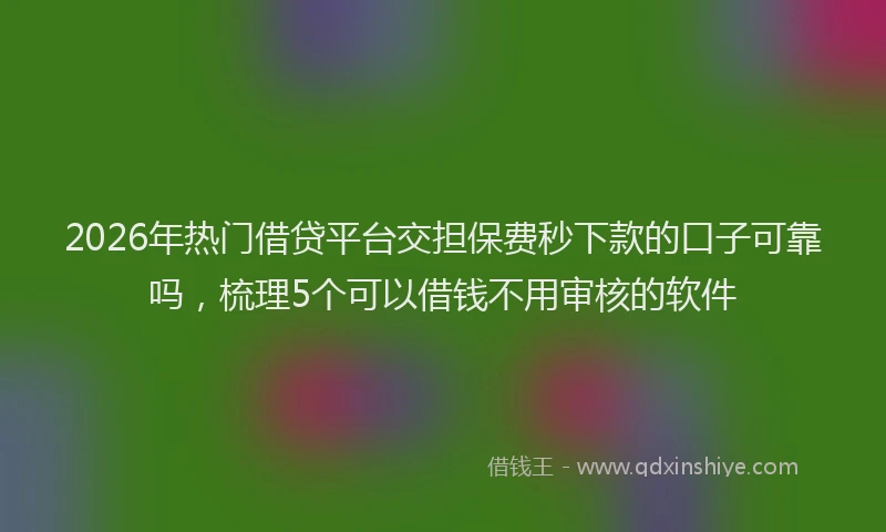 2026年热门借贷平台交担保费秒下款的口子可靠吗，梳理5个可以借钱不用审核的软件