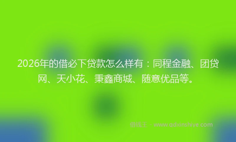 2026年的借必下贷款怎么样有：同程金融、团贷网、天小花、秉鑫商城、随意优品等。