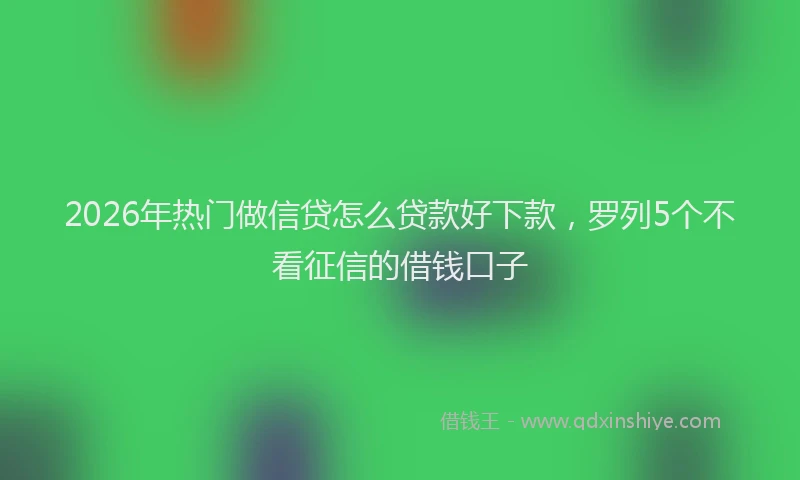 2026年热门做信贷怎么贷款好下款，罗列5个不看征信的借钱口子
