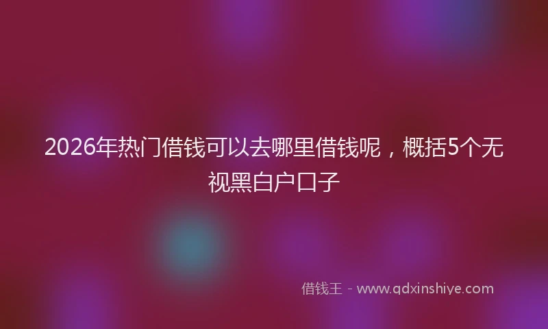 2026年热门借钱可以去哪里借钱呢，概括5个无视黑白户口子
