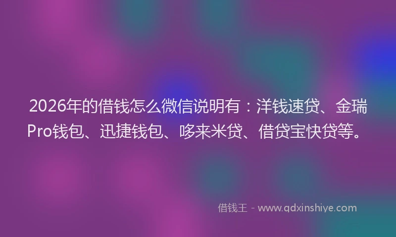 2026年的借钱怎么微信说明有：洋钱速贷、金瑞Pro钱包、迅捷钱包、哆来米贷、借贷宝快贷等。