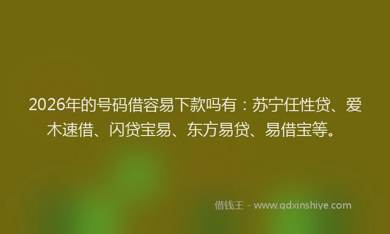 2026年的号码借容易下款吗有：苏宁任性贷、爱木速借、闪贷宝易、东方易贷、易借宝等。