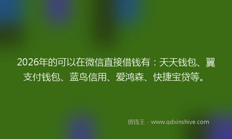 2026年的可以在微信直接借钱有：天天钱包、翼支付钱包、蓝鸟信用、爱鸿森、快捷宝贷等。