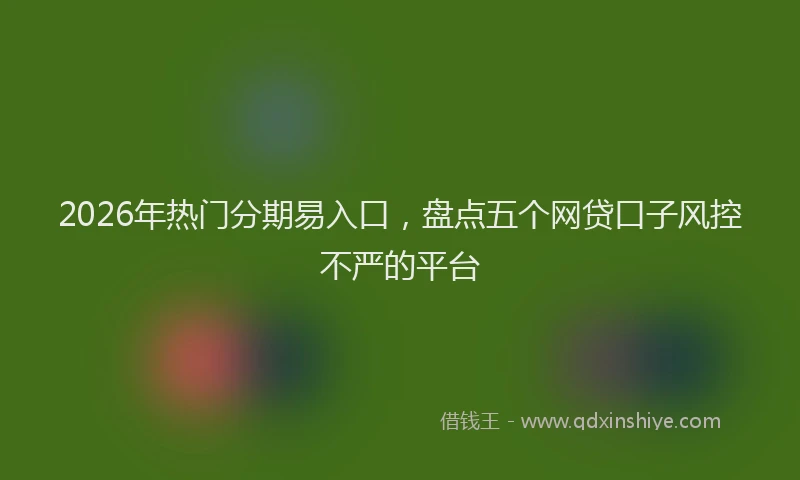 2026年热门分期易入口，盘点五个网贷口子风控不严的平台