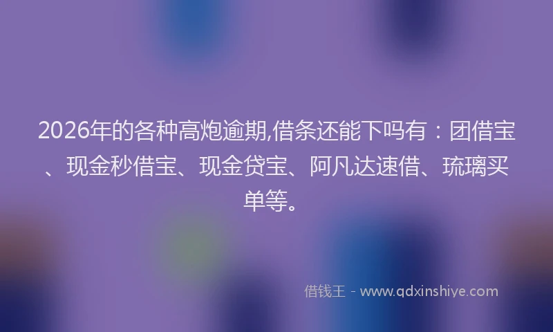 2026年的各种高炮逾期,借条还能下吗有：团借宝、现金秒借宝、现金贷宝、阿凡达速借、琉璃买单等。