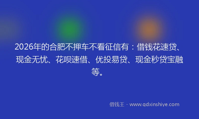 2026年的合肥不押车不看征信有：借钱花速贷、现金无忧、花呗速借、优投易贷、现金秒贷宝融等。