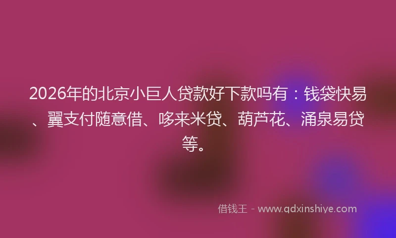 2026年的北京小巨人贷款好下款吗有：钱袋快易、翼支付随意借、哆来米贷、葫芦花、涌泉易贷等。