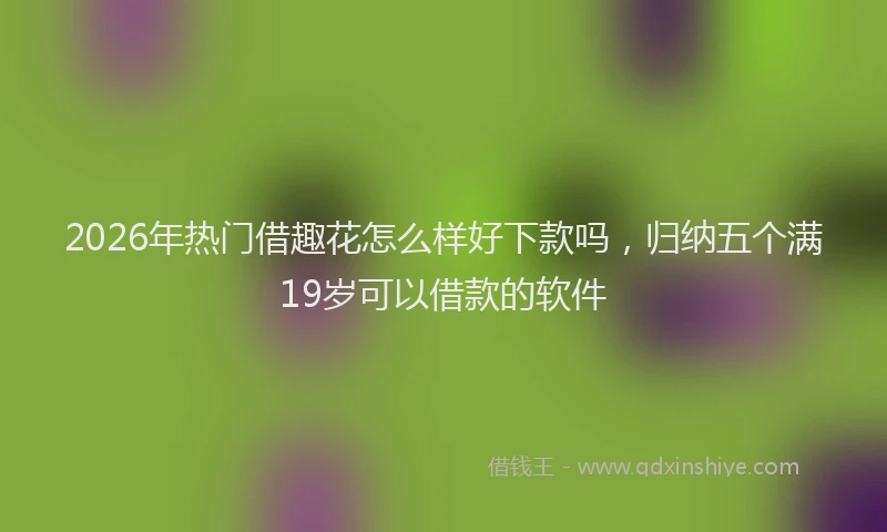 2026年热门借趣花怎么样好下款吗，归纳五个满19岁可以借款的软件