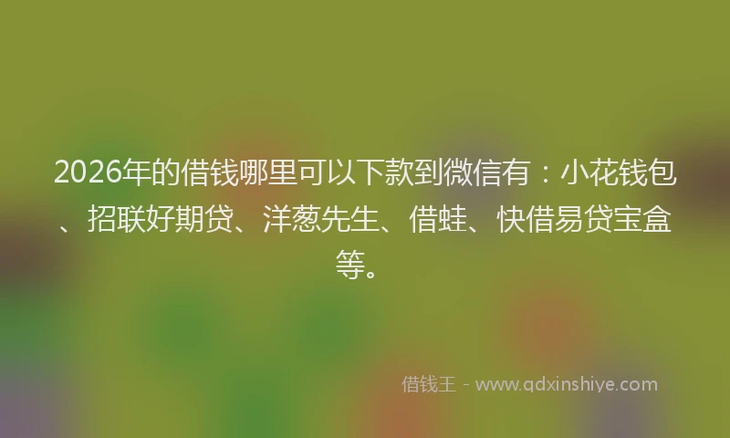 2026年的借钱哪里可以下款到微信有：小花钱包、招联好期贷、洋葱先生、借蛙、快借易贷宝盒等。