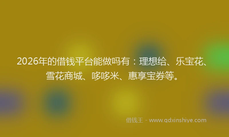 2026年的借钱平台能做吗有：理想给、乐宝花、雪花商城、哆哆米、惠享宝券等。