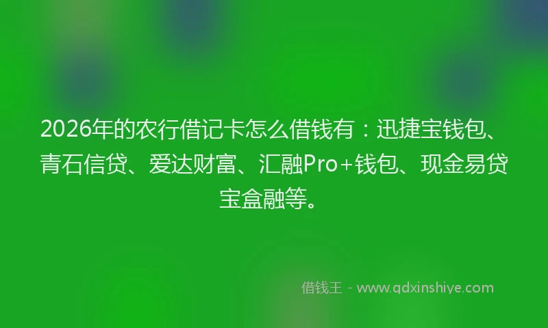 2026年的农行借记卡怎么借钱有：迅捷宝钱包、青石信贷、爱达财富、汇融Pro+钱包、现金易贷宝盒融等。