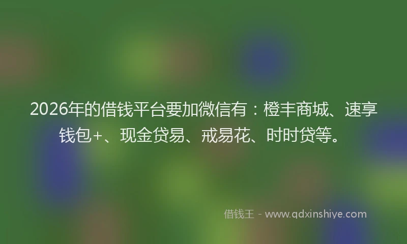 2026年的借钱平台要加微信有：橙丰商城、速享钱包+、现金贷易、戒易花、时时贷等。