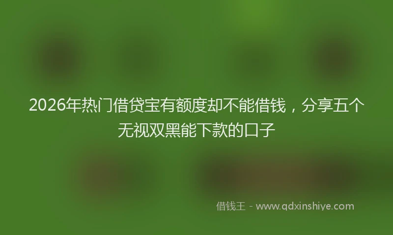 2026年热门借贷宝有额度却不能借钱，分享五个无视双黑能下款的口子