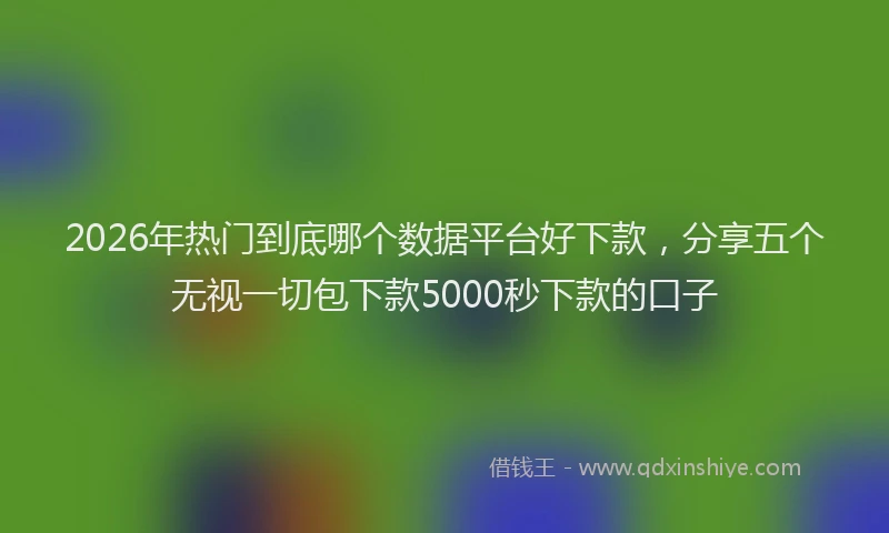 2026年热门到底哪个数据平台好下款，分享五个无视一切包下款5000秒下款的口子