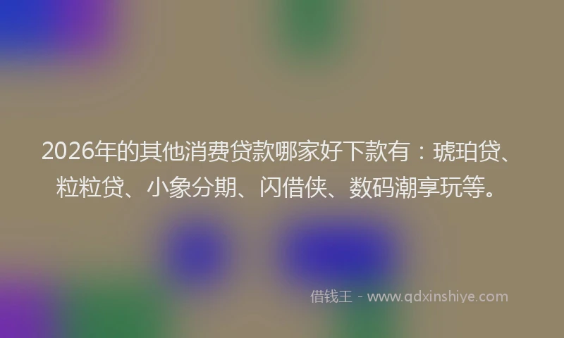2026年的其他消费贷款哪家好下款有：琥珀贷、粒粒贷、小象分期、闪借侠、数码潮享玩等。