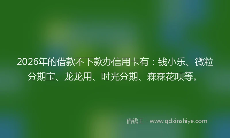 2026年的借款不下款办信用卡有：钱小乐、微粒分期宝、龙龙用、时光分期、森森花呗等。