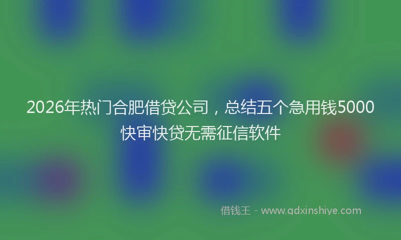 2026年热门合肥借贷公司，总结五个急用钱5000快审快贷无需征信软件