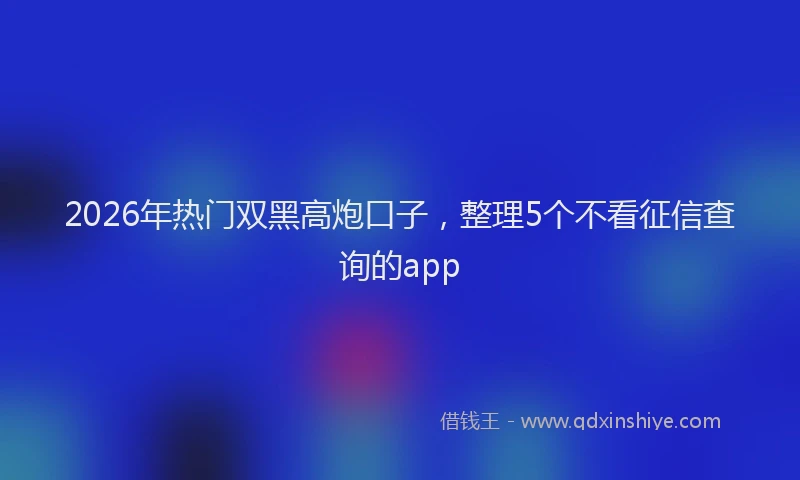 2026年热门双黑高炮口子，整理5个不看征信查询的app