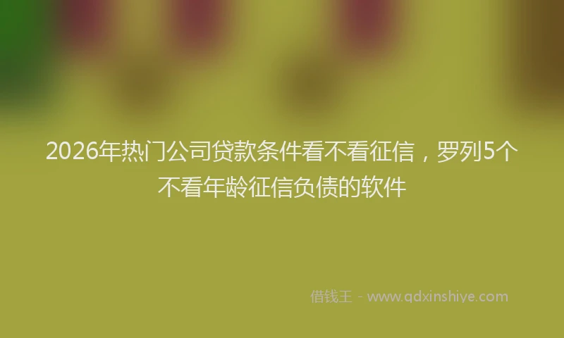 2026年热门公司贷款条件看不看征信，罗列5个不看年龄征信负债的软件