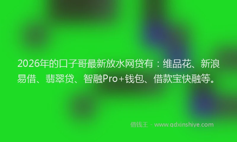 2026年的口子哥最新放水网贷有：维品花、新浪易借、翡翠贷、智融Pro+钱包、借款宝快融等。