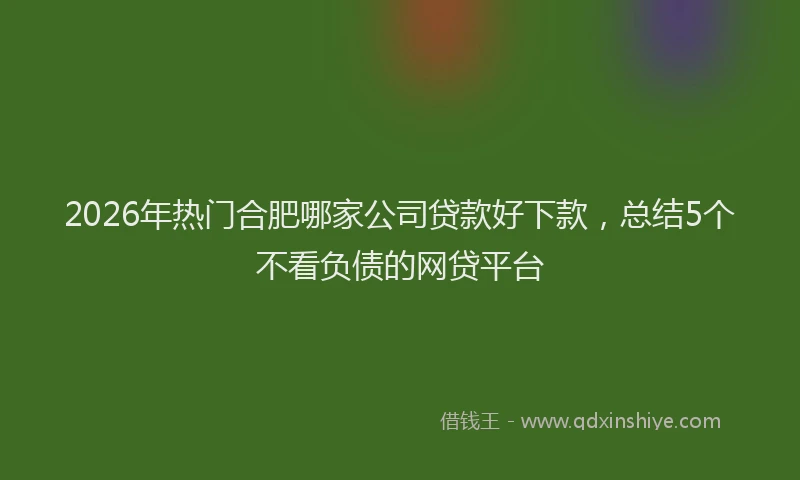 2026年热门合肥哪家公司贷款好下款，总结5个不看负债的网贷平台