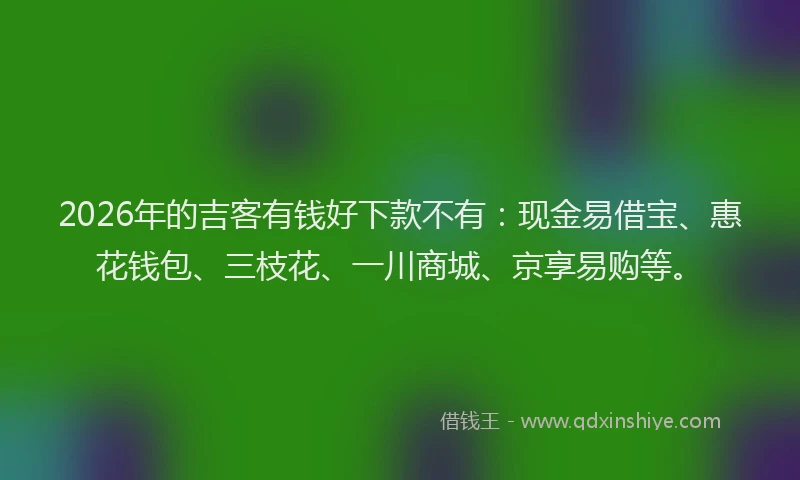 2026年的吉客有钱好下款不有：现金易借宝、惠花钱包、三枝花、一川商城、京享易购等。