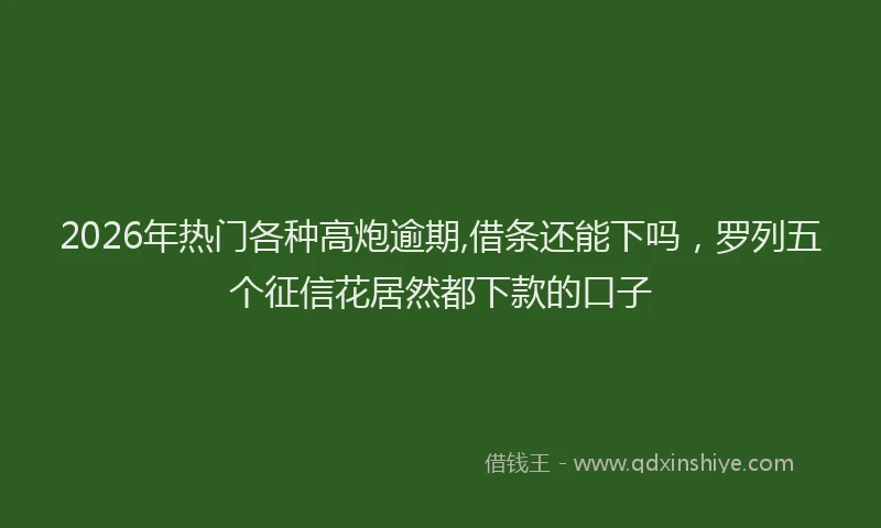 2026年热门各种高炮逾期,借条还能下吗，罗列五个征信花居然都下款的口子