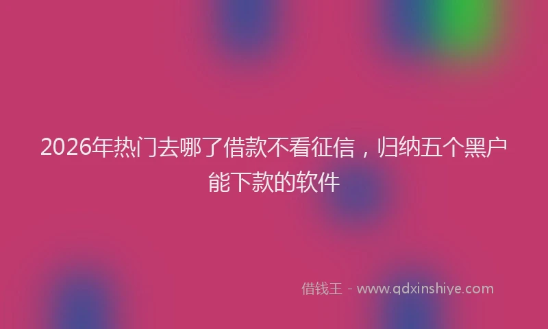 2026年热门去哪了借款不看征信，归纳五个黑户能下款的软件