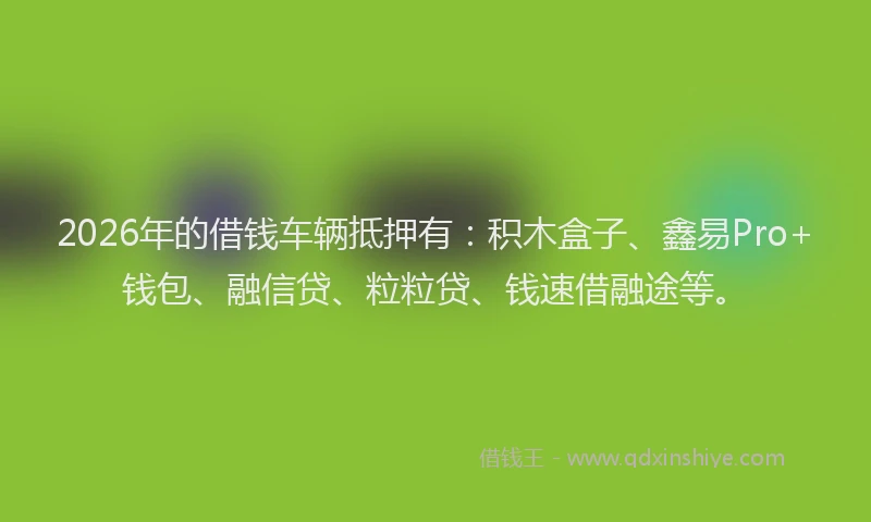 2026年的借钱车辆抵押有：积木盒子、鑫易Pro+钱包、融信贷、粒粒贷、钱速借融途等。