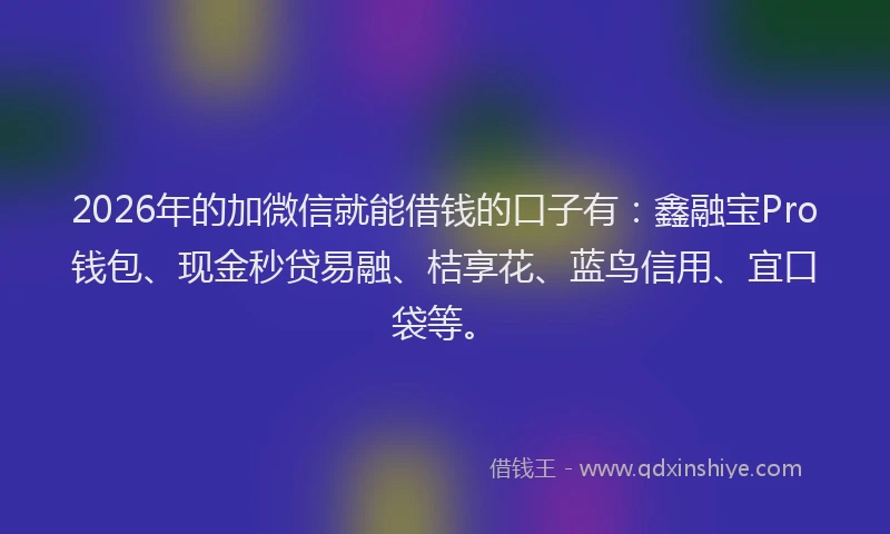 2026年的加微信就能借钱的口子有：鑫融宝Pro钱包、现金秒贷易融、桔享花、蓝鸟信用、宜口袋等。