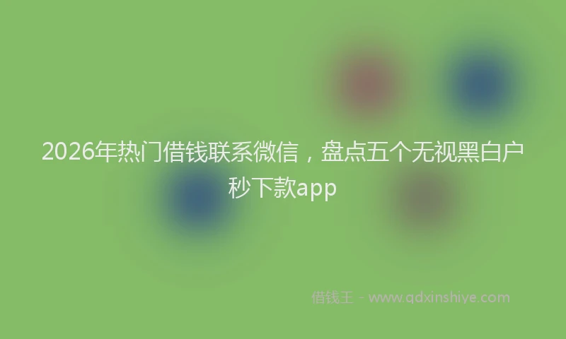 2026年热门借钱联系微信，盘点五个无视黑白户秒下款app