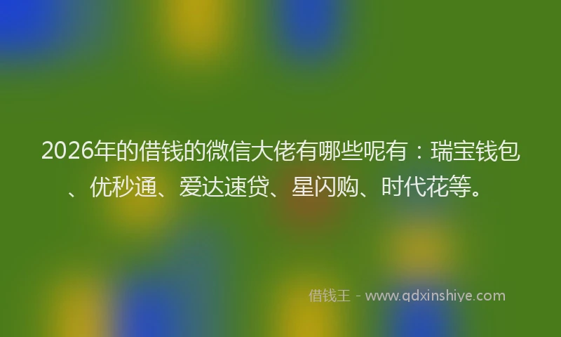 2026年的借钱的微信大佬有哪些呢有：瑞宝钱包、优秒通、爱达速贷、星闪购、时代花等。
