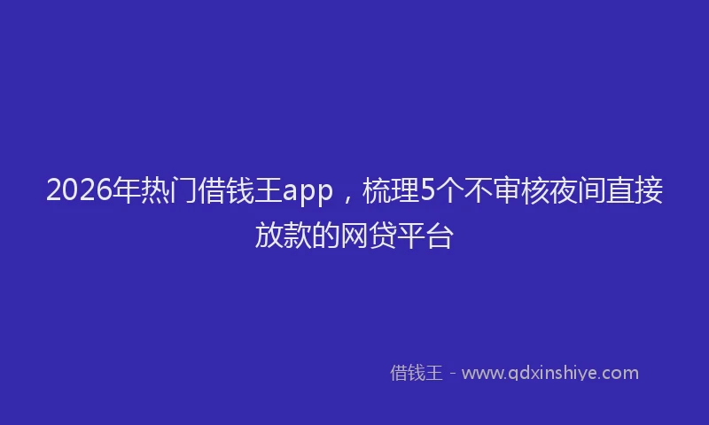 2026年热门借钱王app，梳理5个不审核夜间直接放款的网贷平台