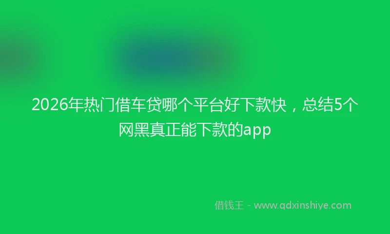 2026年热门借车贷哪个平台好下款快，总结5个网黑真正能下款的app