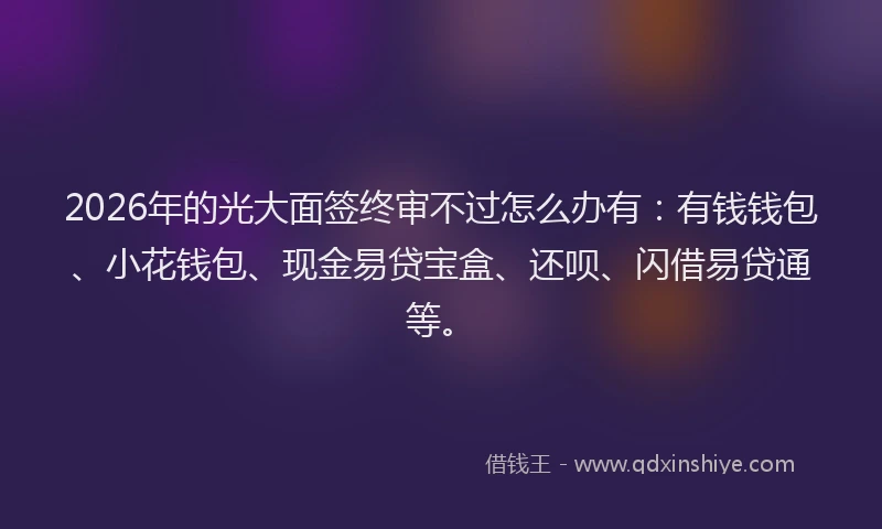 2026年的光大面签终审不过怎么办有：有钱钱包、小花钱包、现金易贷宝盒、还呗、闪借易贷通等。