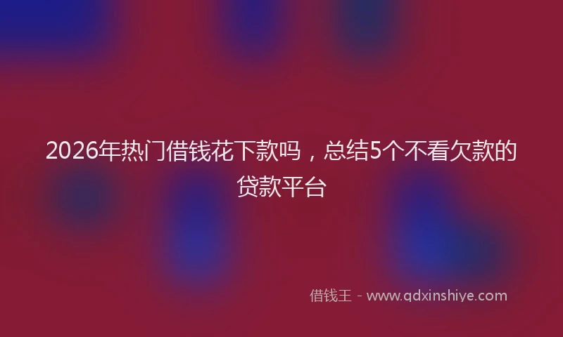 2026年热门借钱花下款吗，总结5个不看欠款的贷款平台