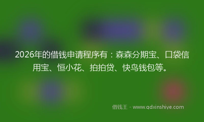 2026年的借钱申请程序有：森森分期宝、口袋信用宝、恒小花、拍拍贷、快鸟钱包等。