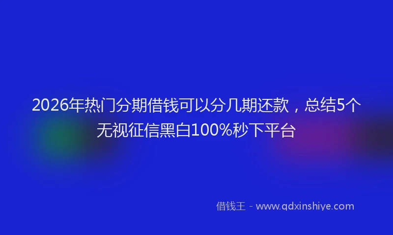 2026年热门分期借钱可以分几期还款，总结5个无视征信黑白100%秒下平台