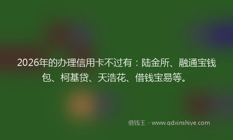 2026年的办理信用卡不过有：陆金所、融通宝钱包、柯基贷、天浩花、借钱宝易等。